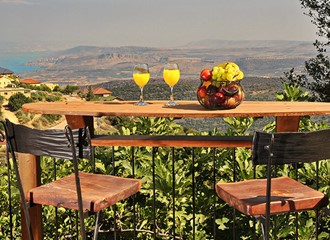 הבית של שירי 2